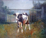 Veau  lenclos