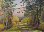 Chemin dombres