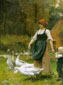 Dans la prairie