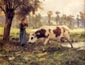 Une vache en pature