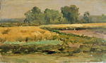 Paysage