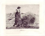 Faneuse