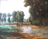 Vaches autour de l etang