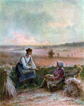 Au bord du chemin