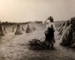 Au temps de la moisson