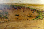 Dune