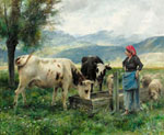 Vaches et moutons  labreuvoir