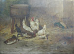 Des poules et un canard