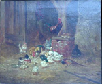 Le conseil du coq