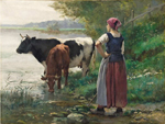 Vaches  la mare