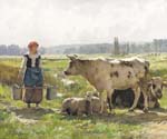 Vache blanche et mouton
