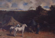 Chevaux