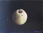 Pomme sur fond noir