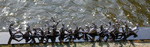 Migration 3