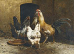 Coqs dans la basse cour