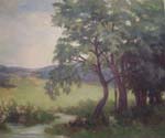 Arbres au bord de l'eau