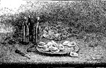 Nature morte aux hutres