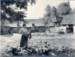 Cour de ferme
