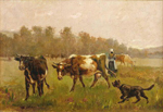 Vaches et chien