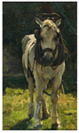 Un cheval