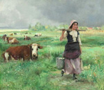 Une vachre  Arques la Bataille