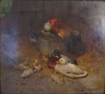 Canards et poules dans la basse cour