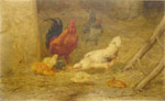 Le repas des poules et poussins