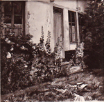 Maison Fleurie