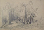 Un jardin  Nauroy