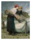 Femmes dans les champs