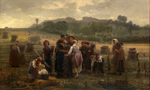 La rcolte des oeillettes en Picardie