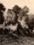 Bergre
