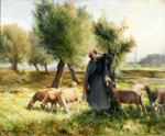 Bergre et son troupeau