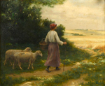 Bergre et moutons