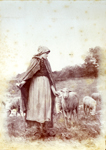 Bergre et son prfr