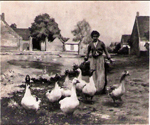 Au Village
