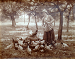 Prairie ensoleille