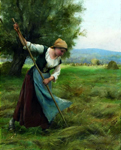 Jeune faneuse