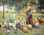 Le repas de la basse-cour
