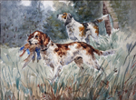 Chiens espagnols