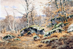 Rochers et fort