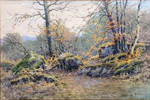 Rochers en Automne