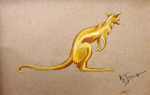 Kangourou