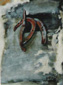 Fers  cheval