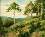 Le vallon forestier