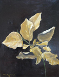 Automne