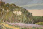 Bois de lHermitire