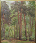 Sous-bois