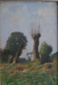 Une trogne