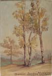 Bouquet d'arbres